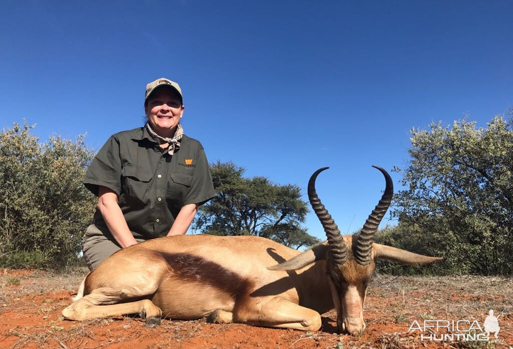 Copper Springbok Hunting in South Africa