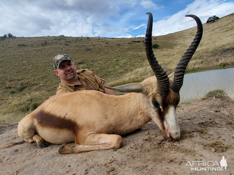 Copper Springbok Hunting South Africa