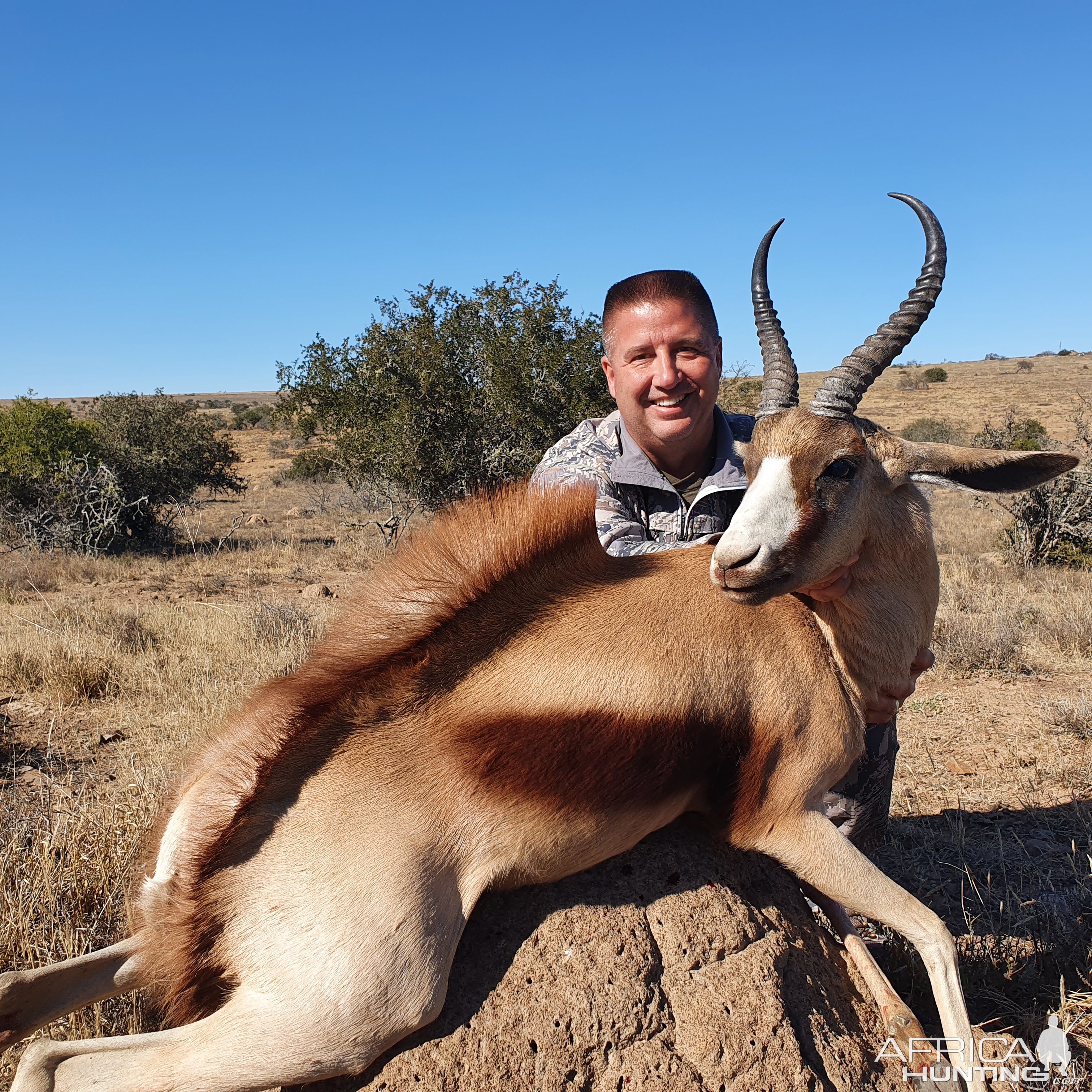 Copper Springbok Hunting South Africa