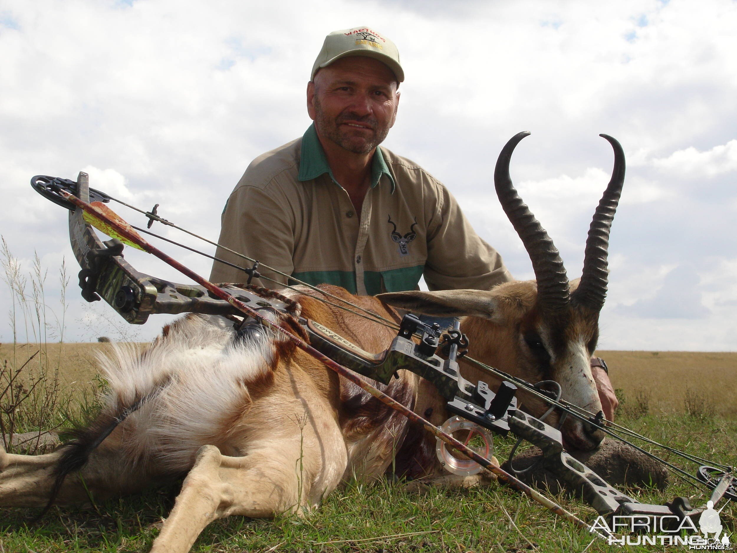 Copper Springbok with bow, took with Warthog Safaris