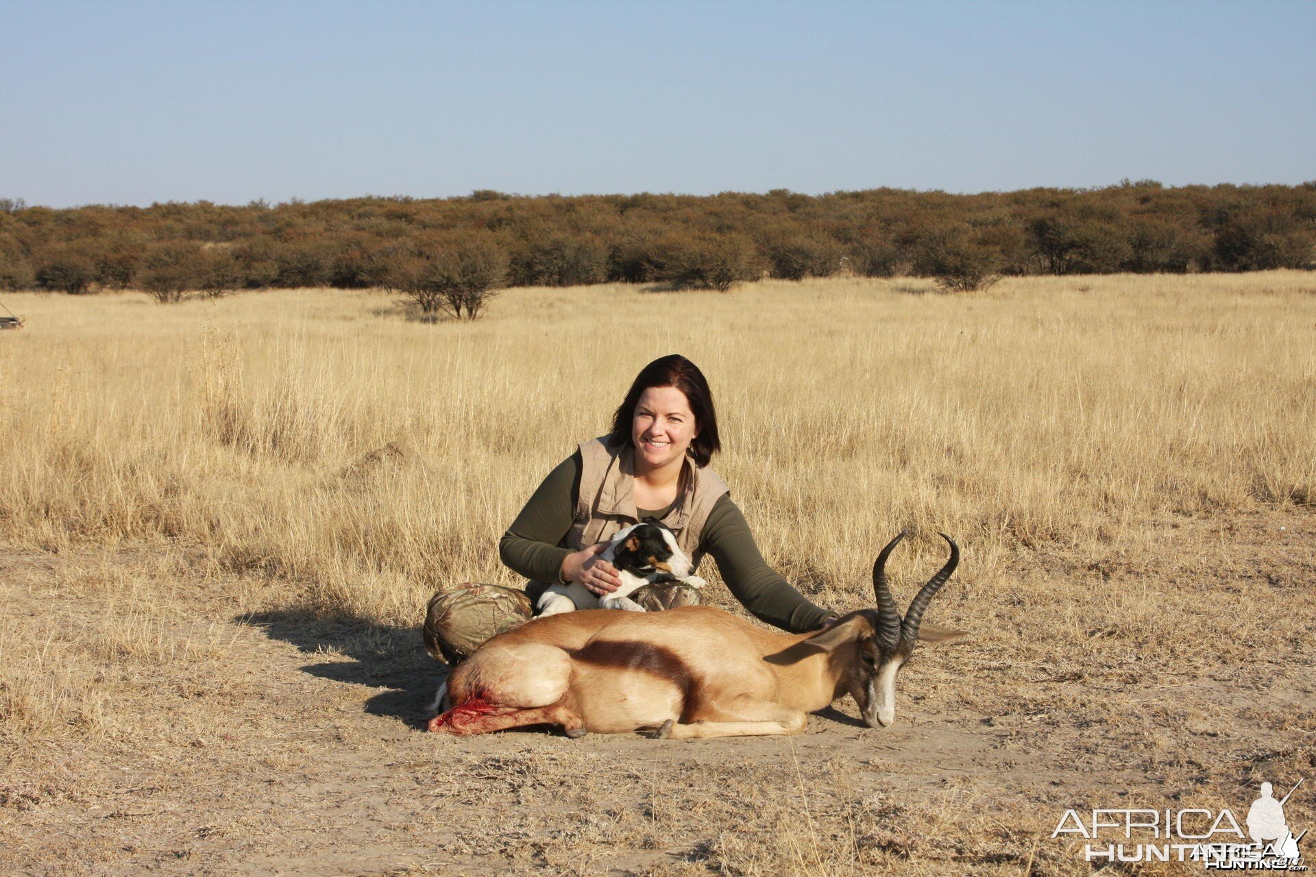 Copper Springbok