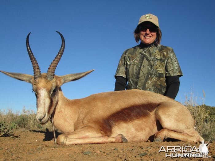 Copper Springbok