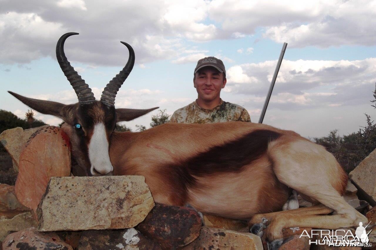 Copper Springbok