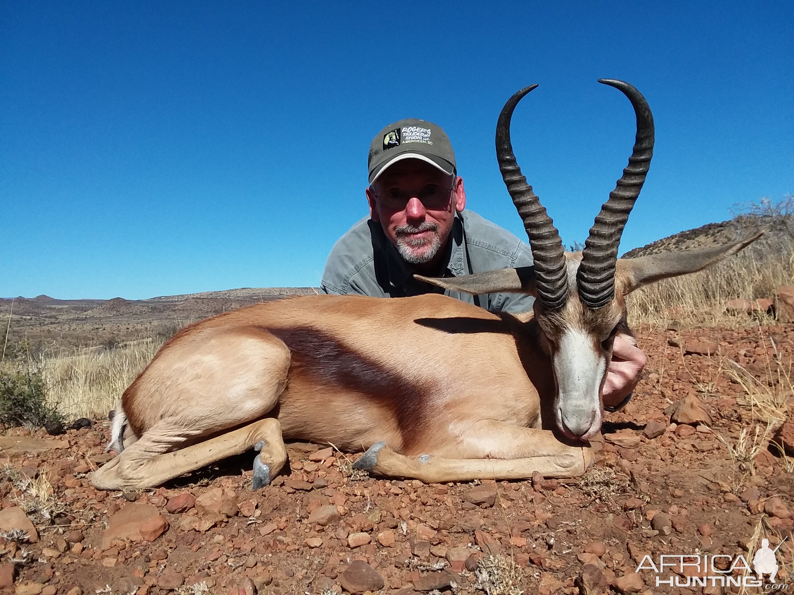 Copper Springbok