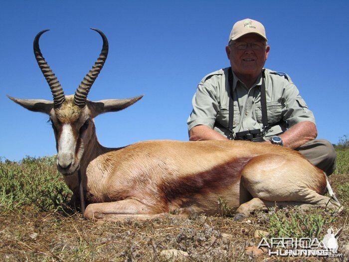 Copper Springbuck