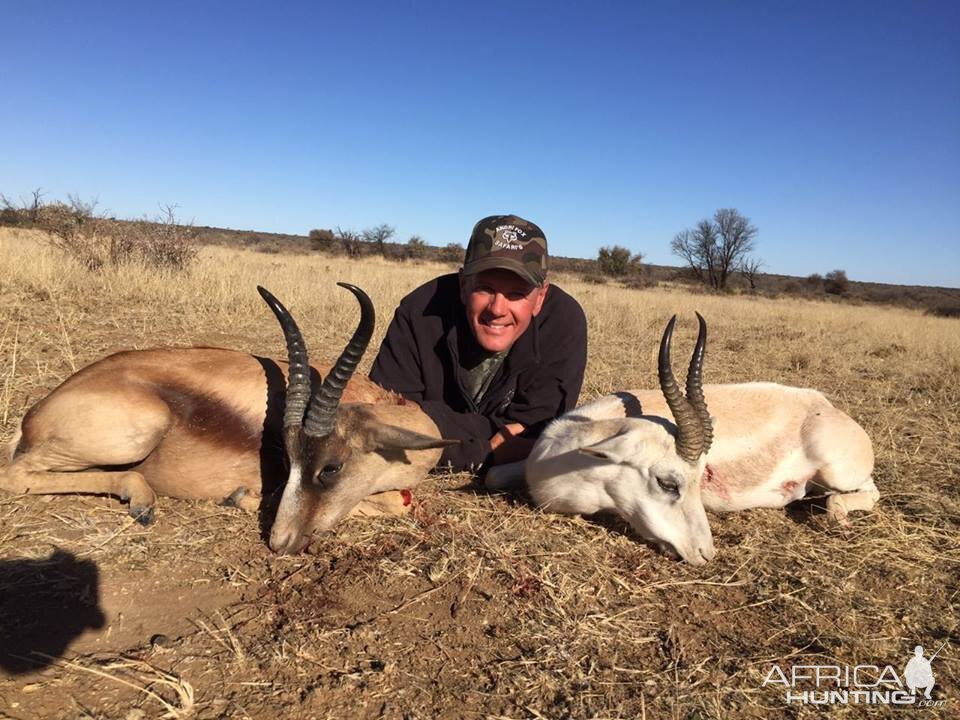 Copper & White Springbuck Hunt South Africa