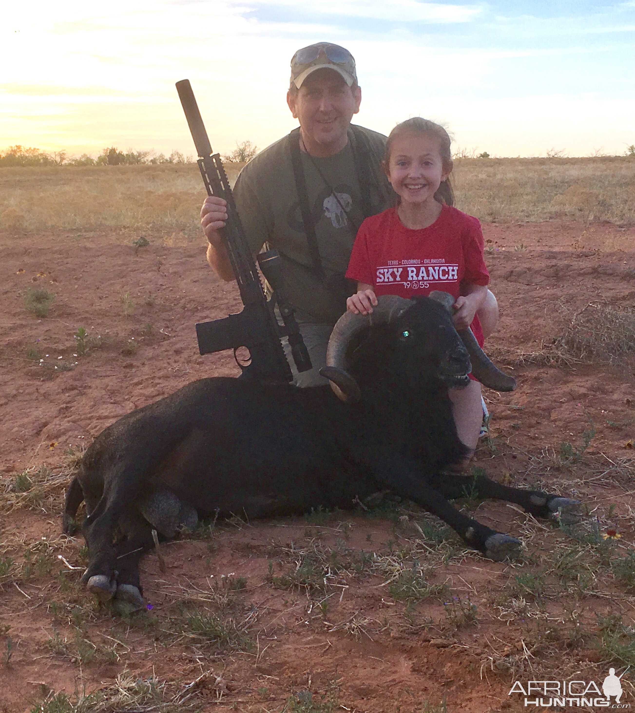 Corsican Sheep Hunt Texas USA