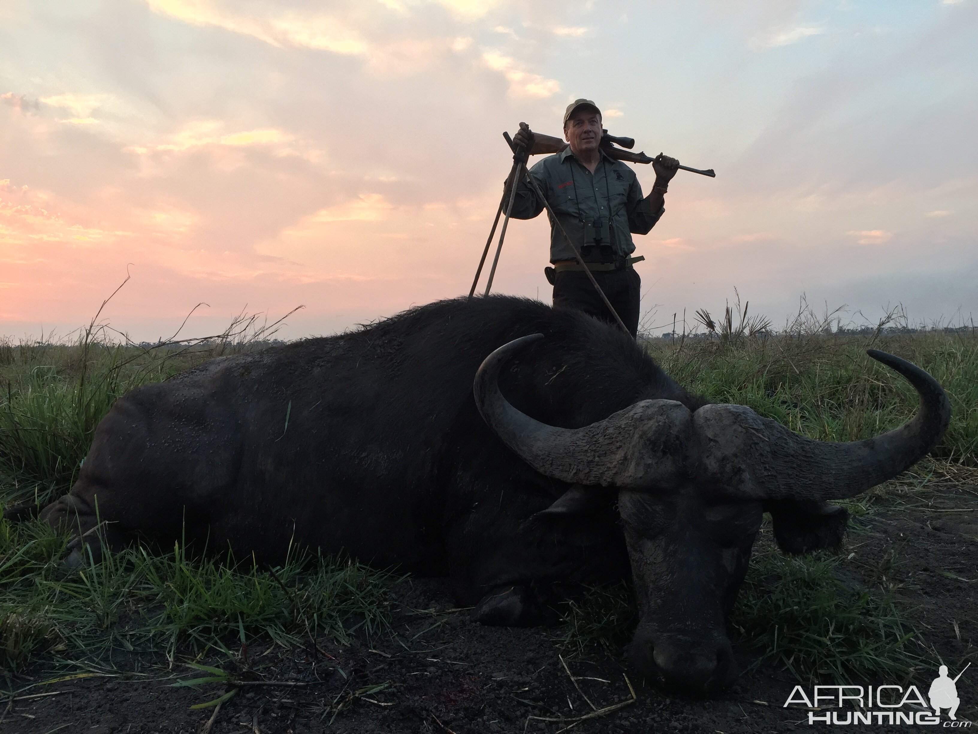 Coutada 14 Buffalo