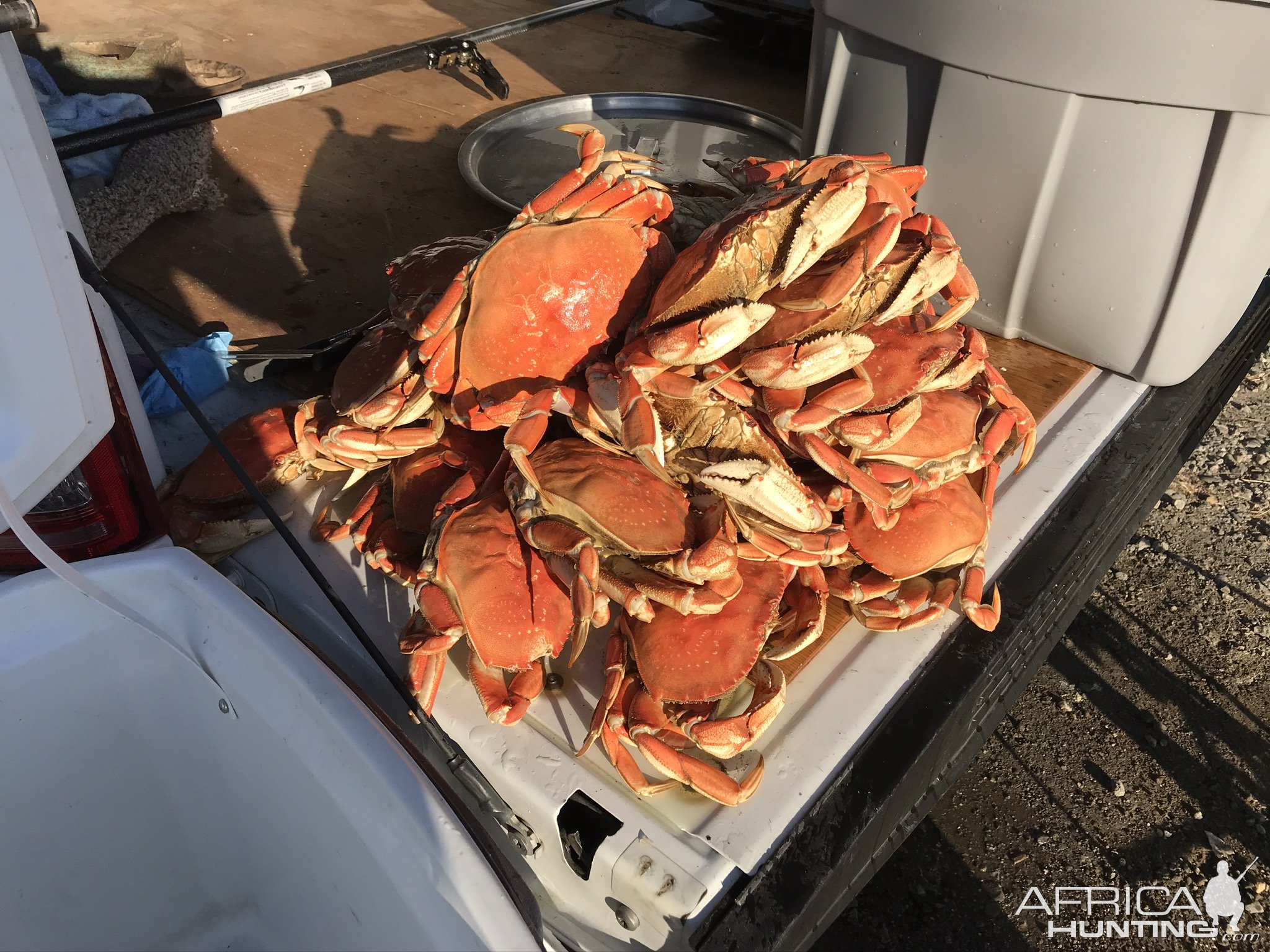 Crab Fishing San Francisco