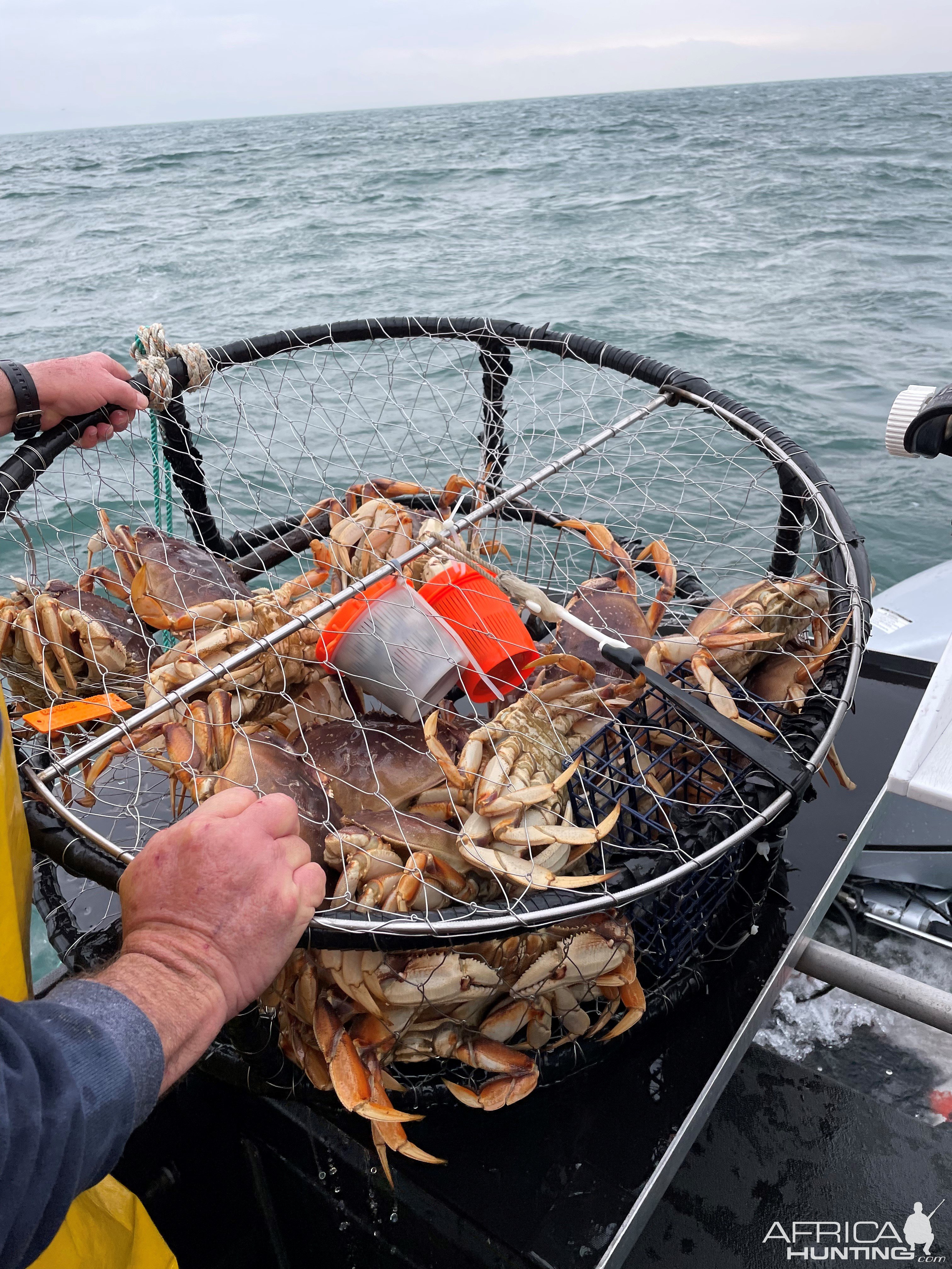 Crab Fishing San Francisco