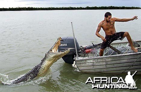 Croc attack