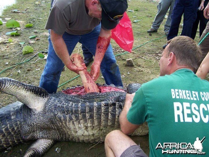 Croc Attack