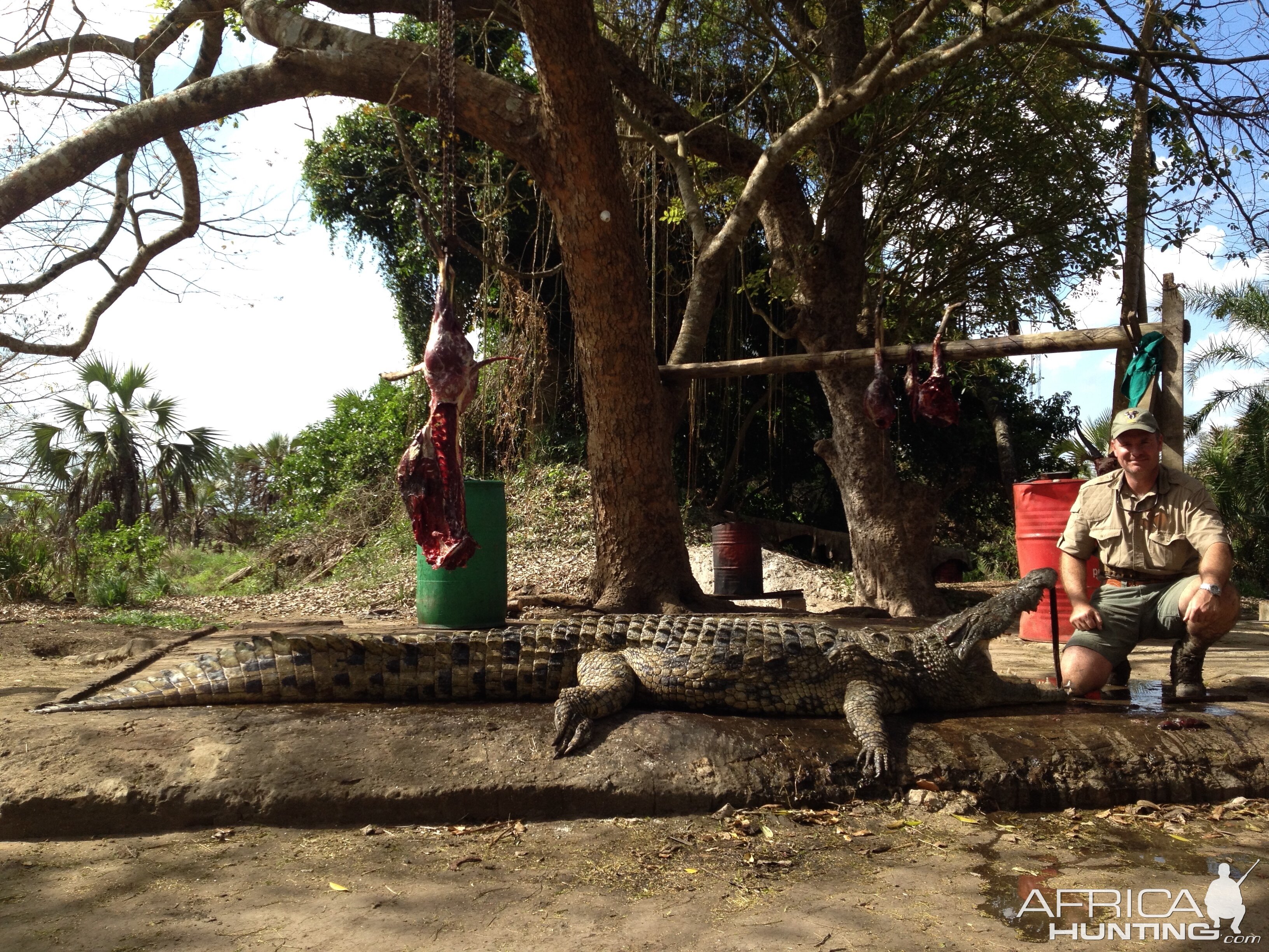 Crocodile Hunt in Mozambique