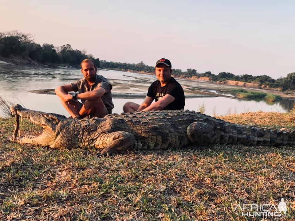 Crocodile Hunt Luangwa Valley Zambia