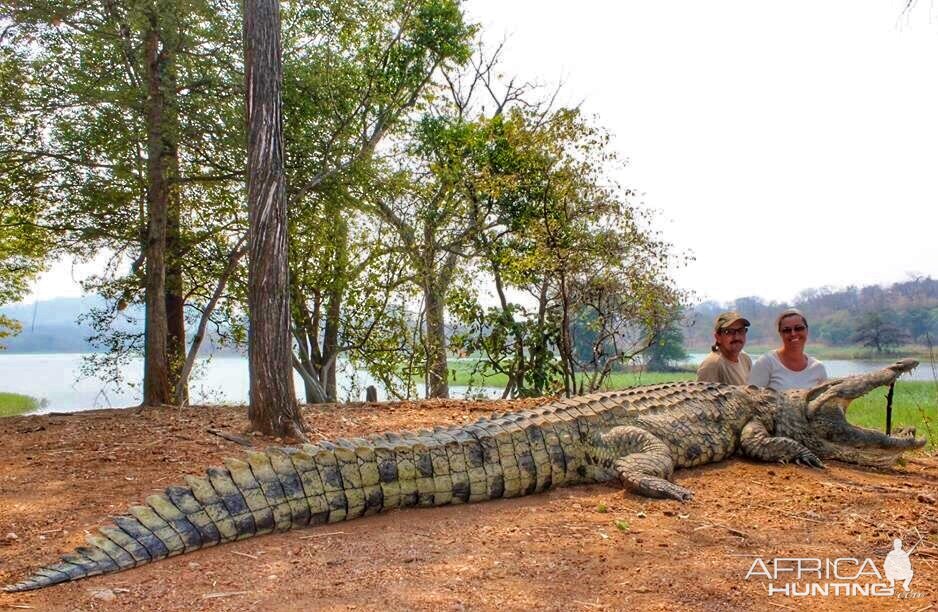 Crocodile Hunt Mozambique With Kwalata Safaris