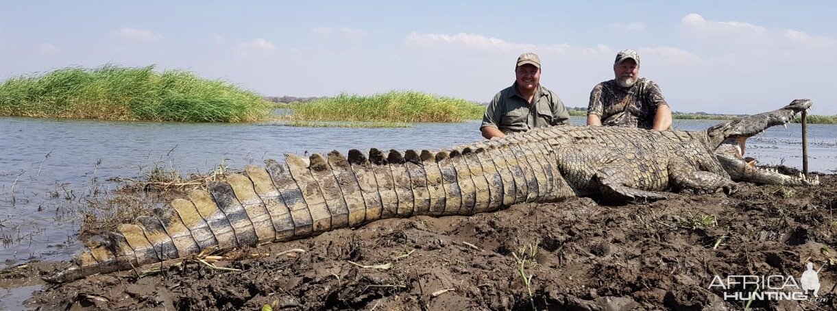 Crocodile Hunt Mozambique With Kwalata Safaris