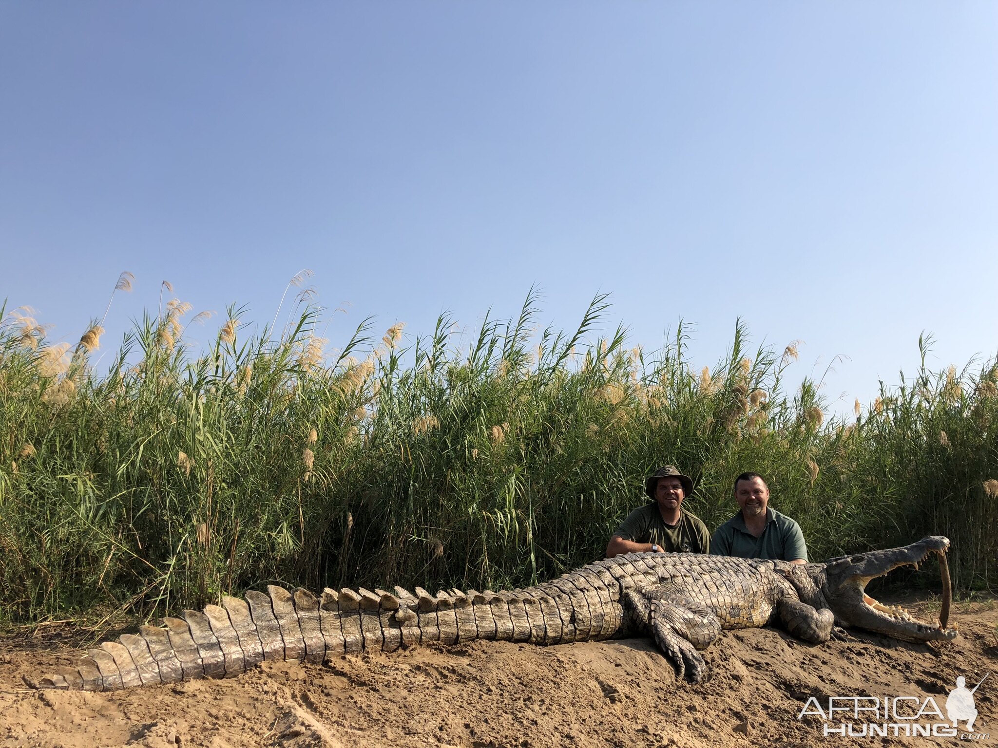 Crocodile Hunt Mozambique With Kwalata Safaris