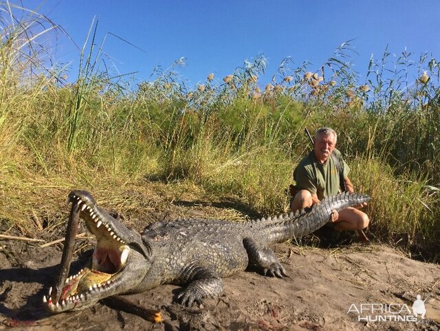 Crocodile Hunt Namibia