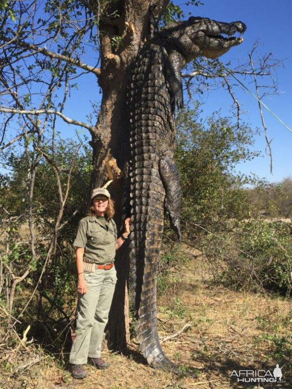 Crocodile Hunt Namibia