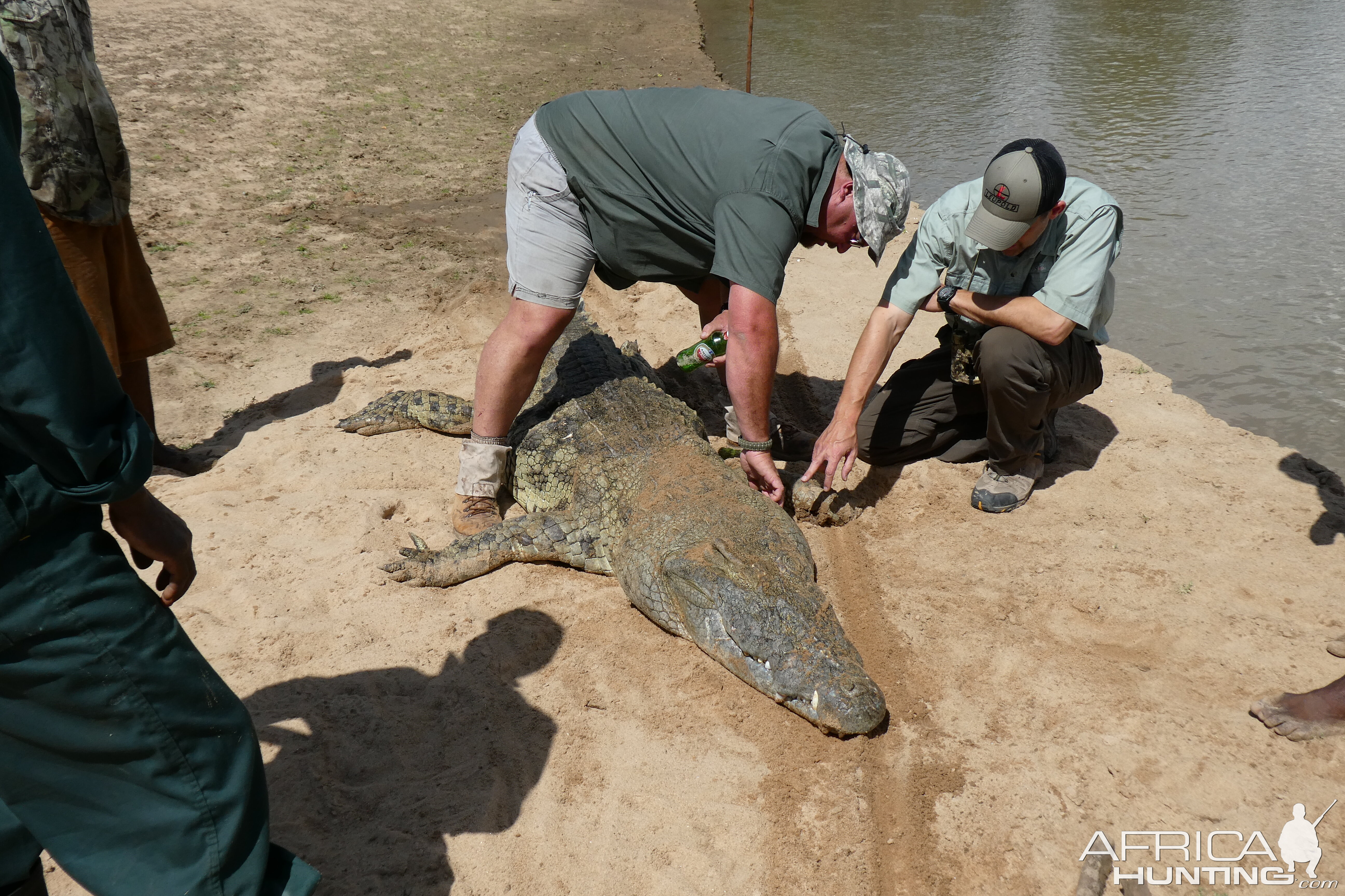 Crocodile Hunt Zambia