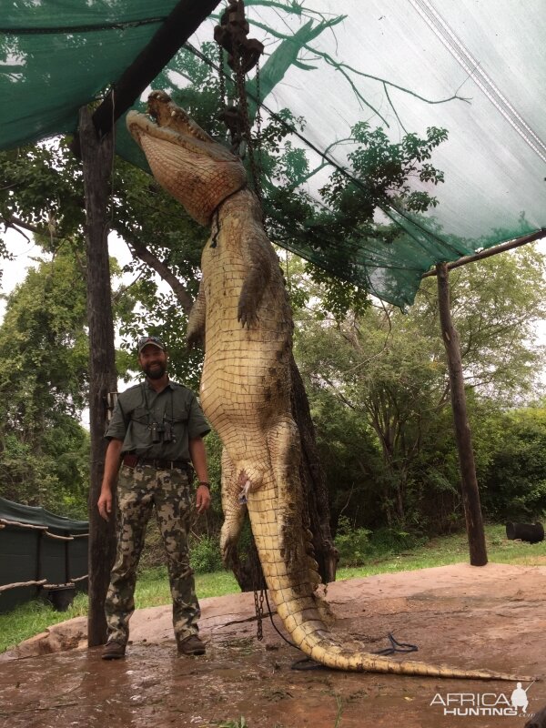 Crocodile Hunt Zimbabwe