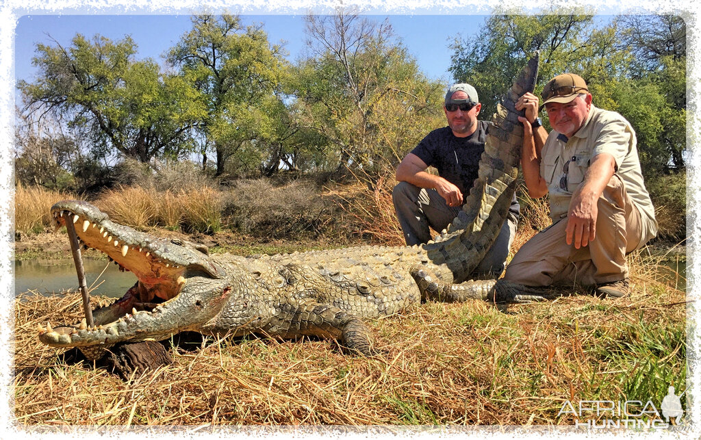 Crocodile Hunting in South Africa