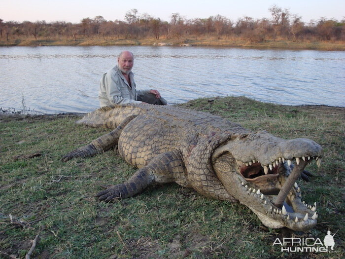 Crocodile Hunting in Zimbabwe