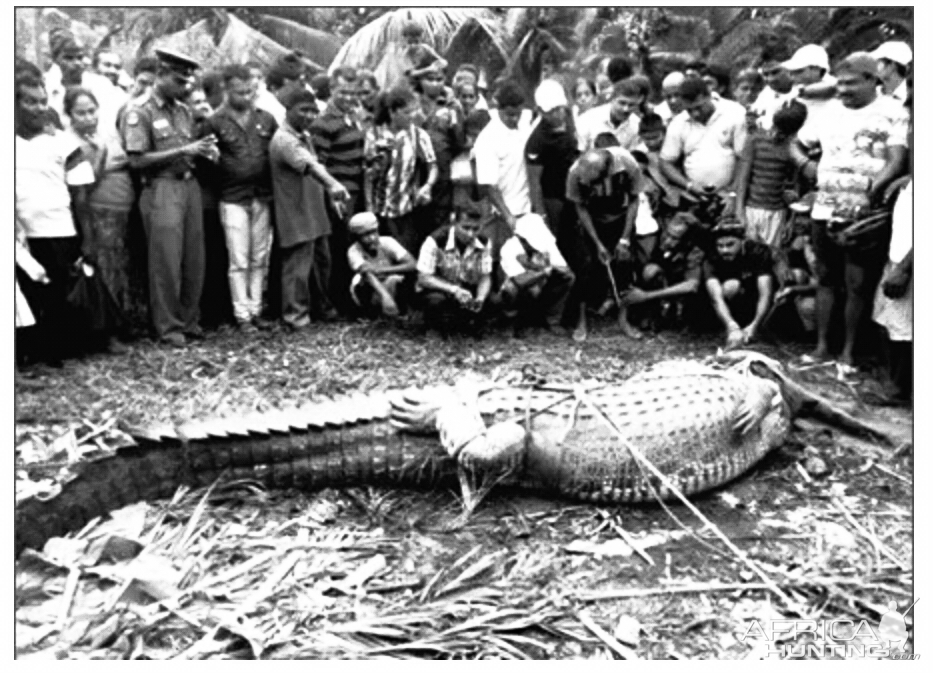 Crocodile Hunting India