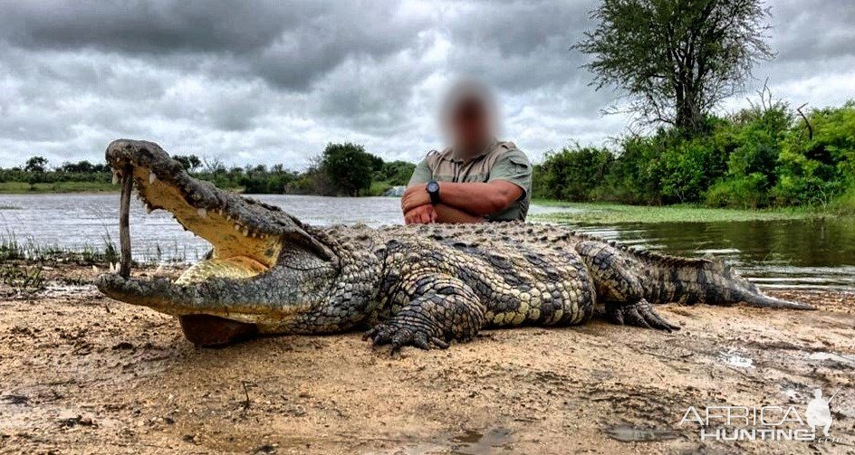 Crocodile Hunting South Africa