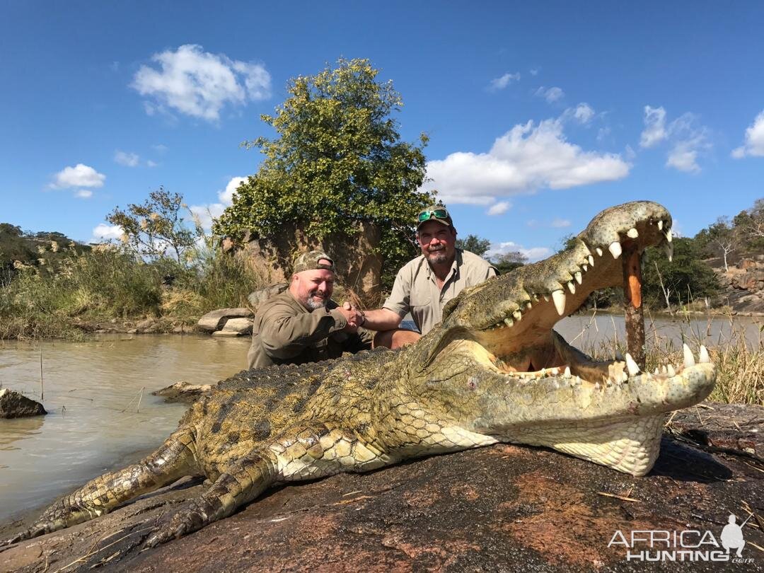 Crocodile Hunting Zimbabwe