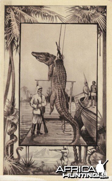 Crocodile Postcard 1909