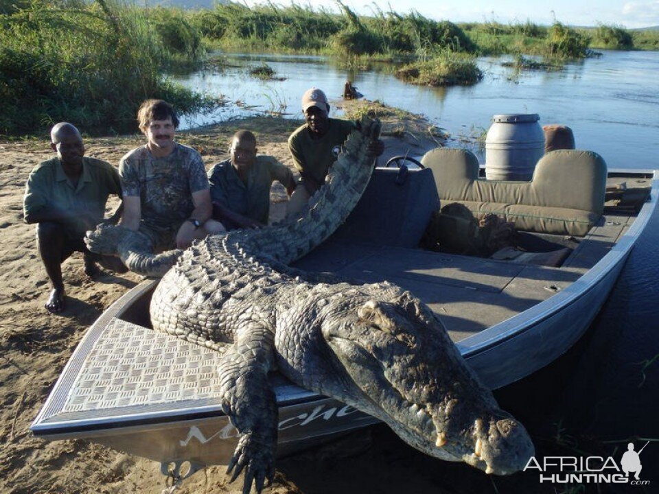 Crocodile Tanzania  Hunting