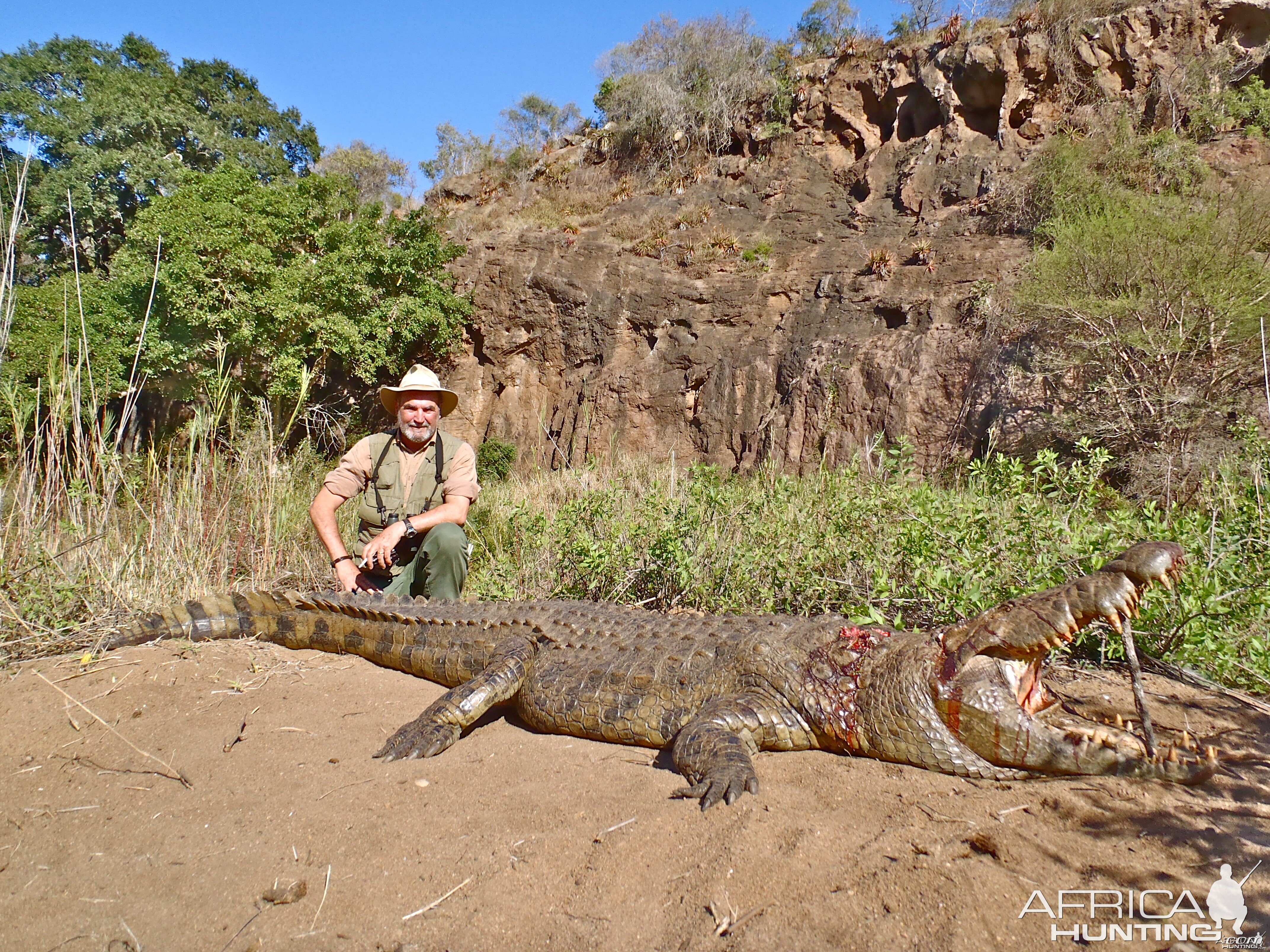 Crocodile