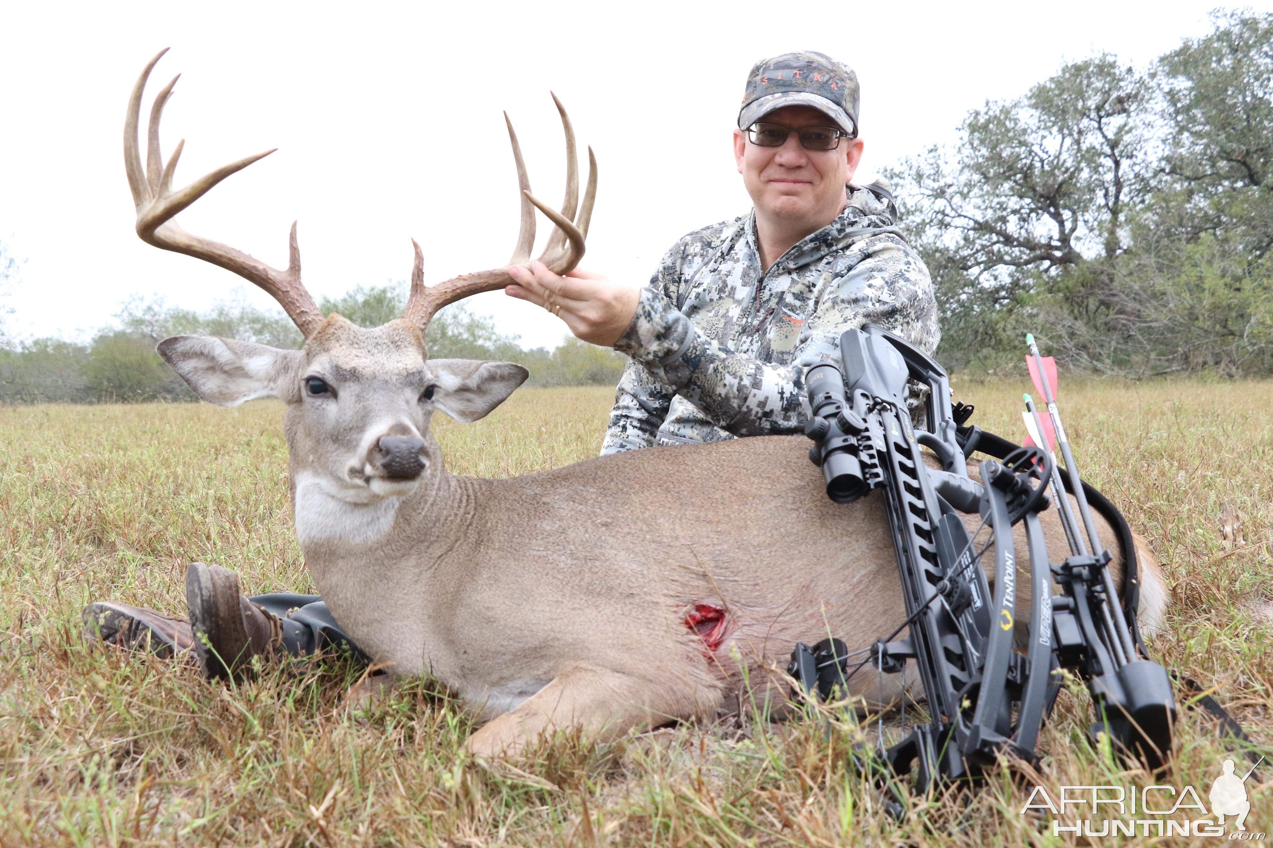 Crossbow Buck