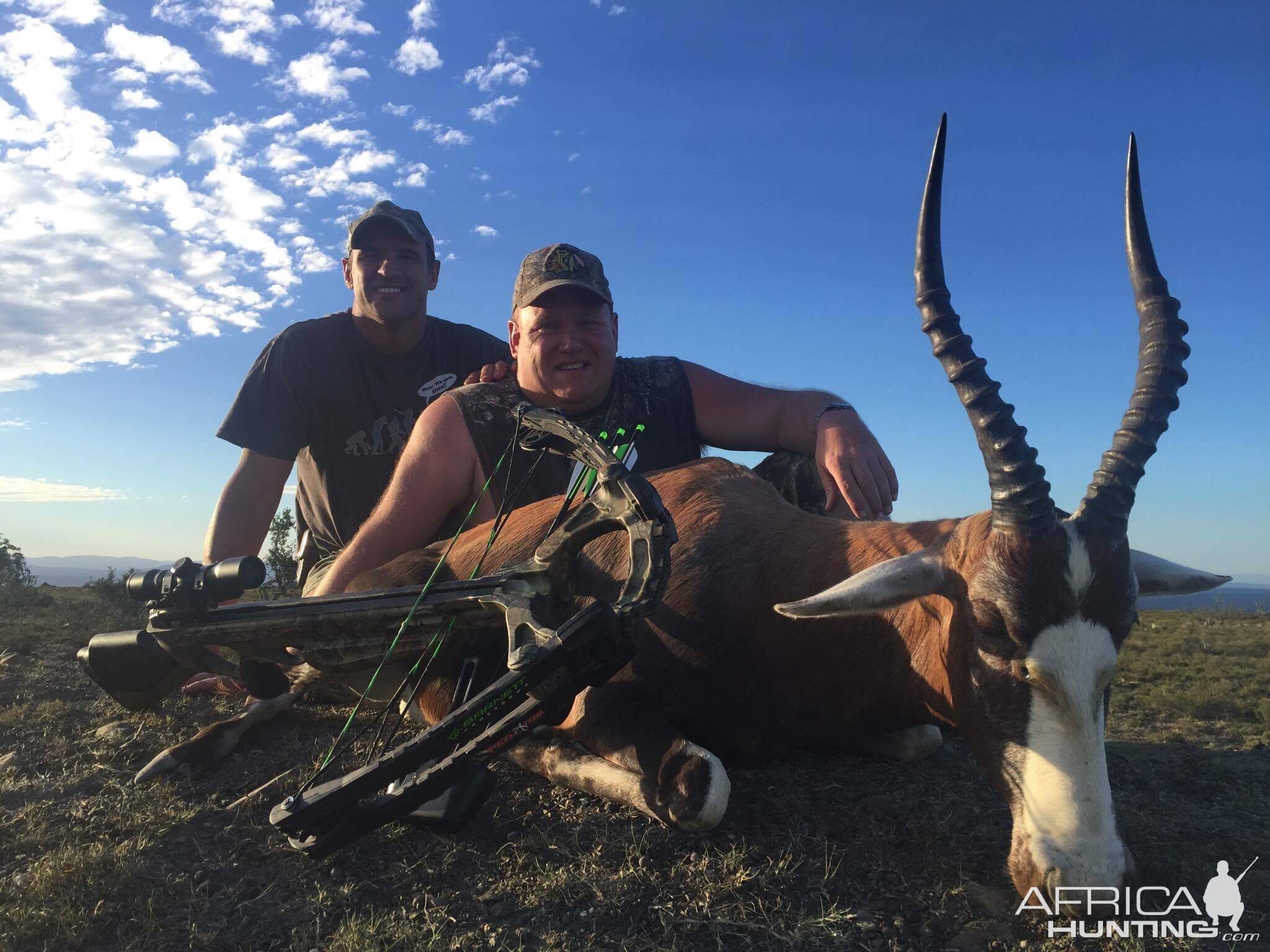 Crossbow Hunting Blesbok South Africa