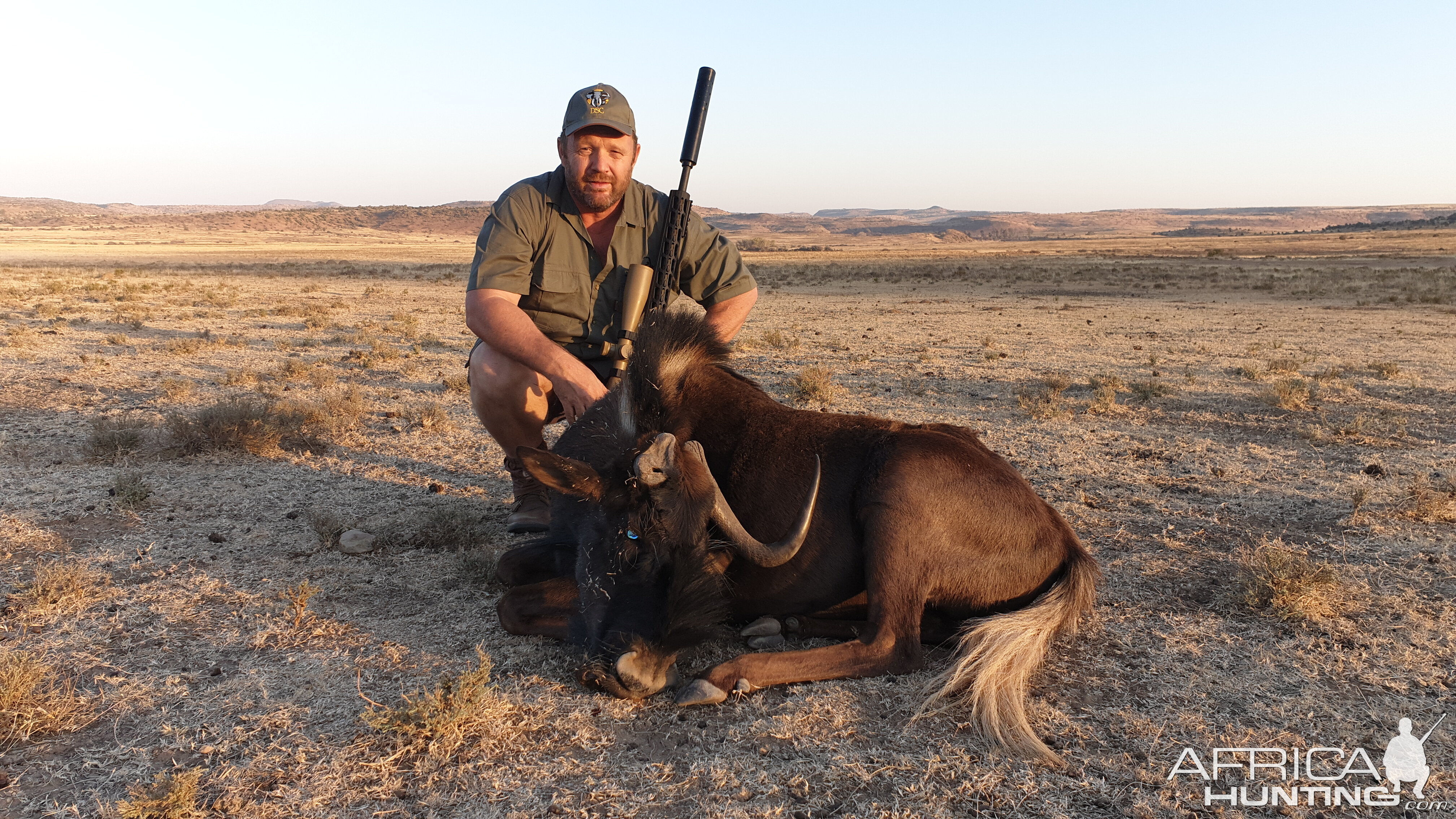 Cull Hunt Black Wildebeest in South Africa