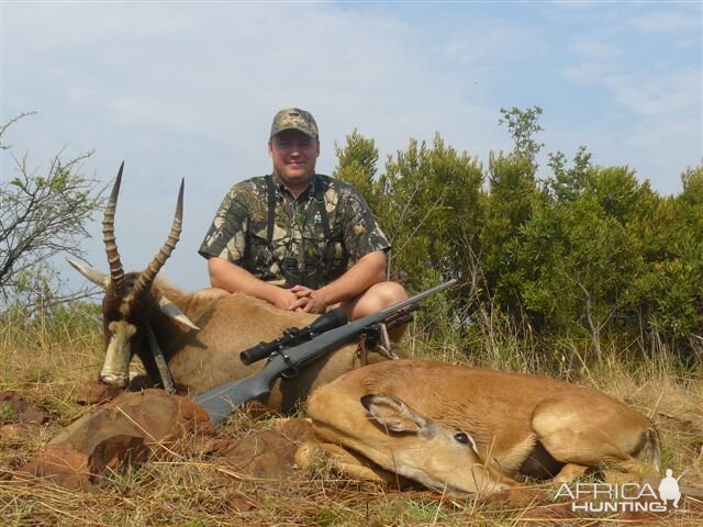 Cull Hunting Blesbok & Impala South Africa