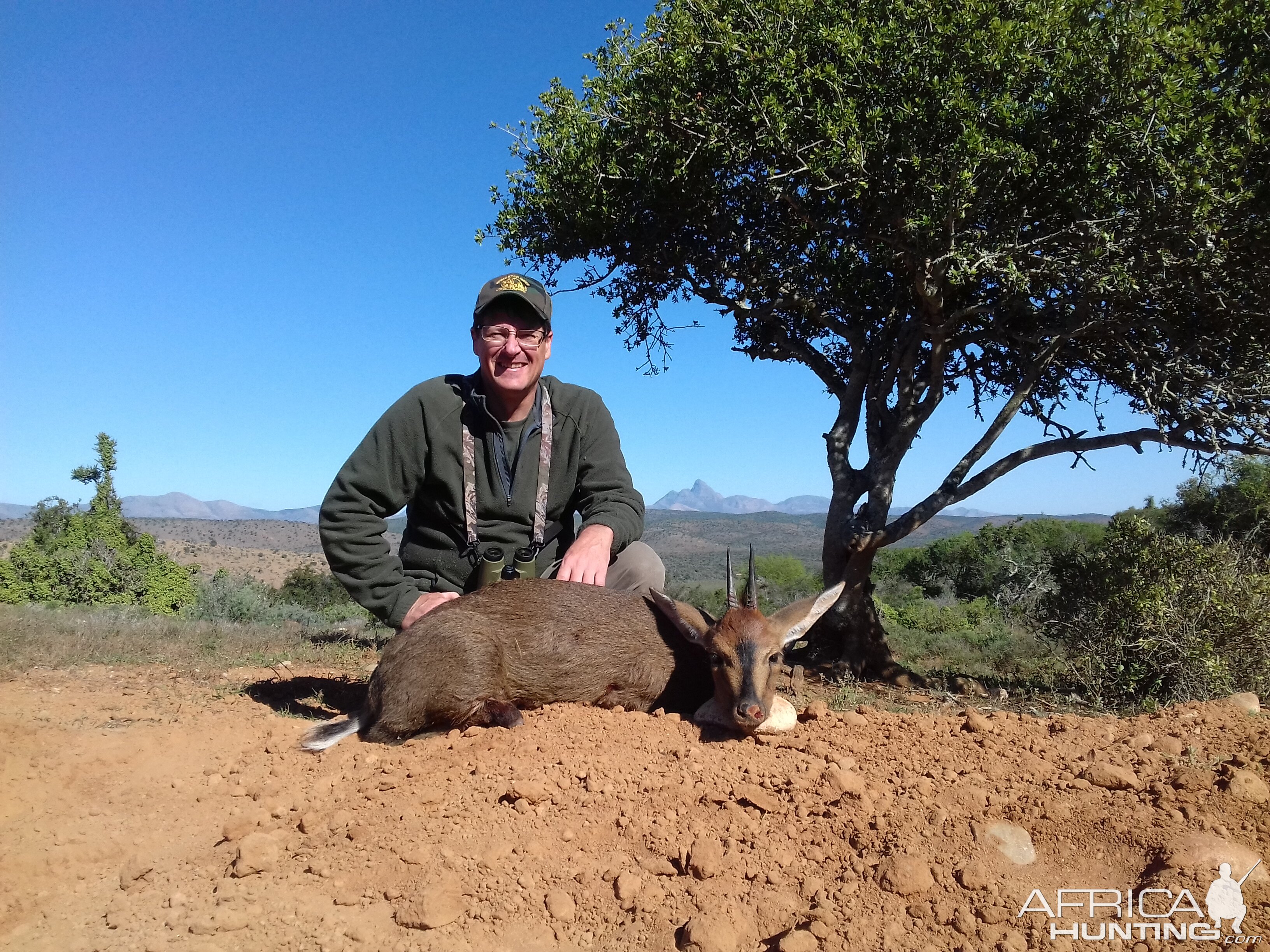 Cull Hunting Duiker South Africa