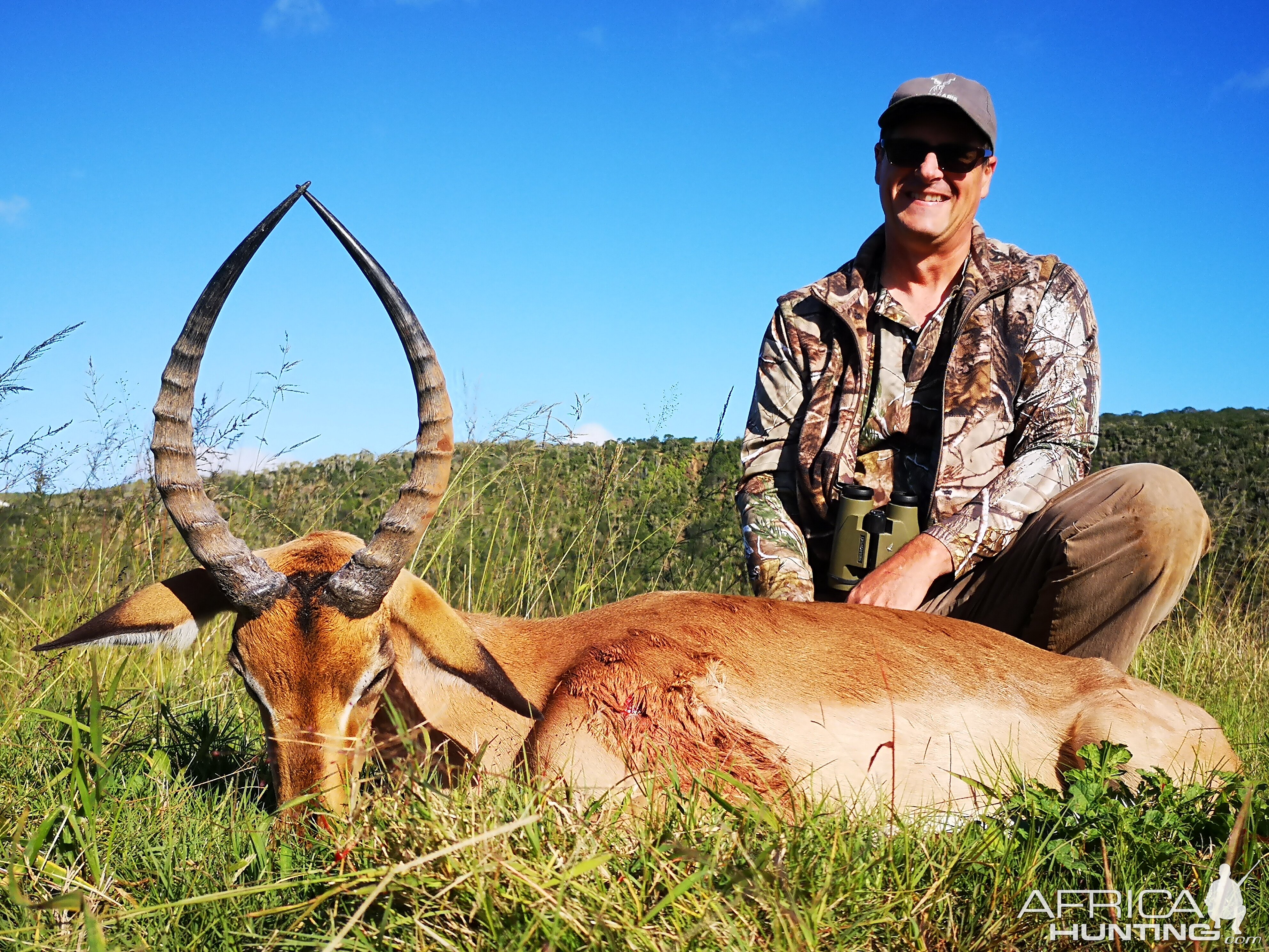 Cull Hunting Impala in South Africa