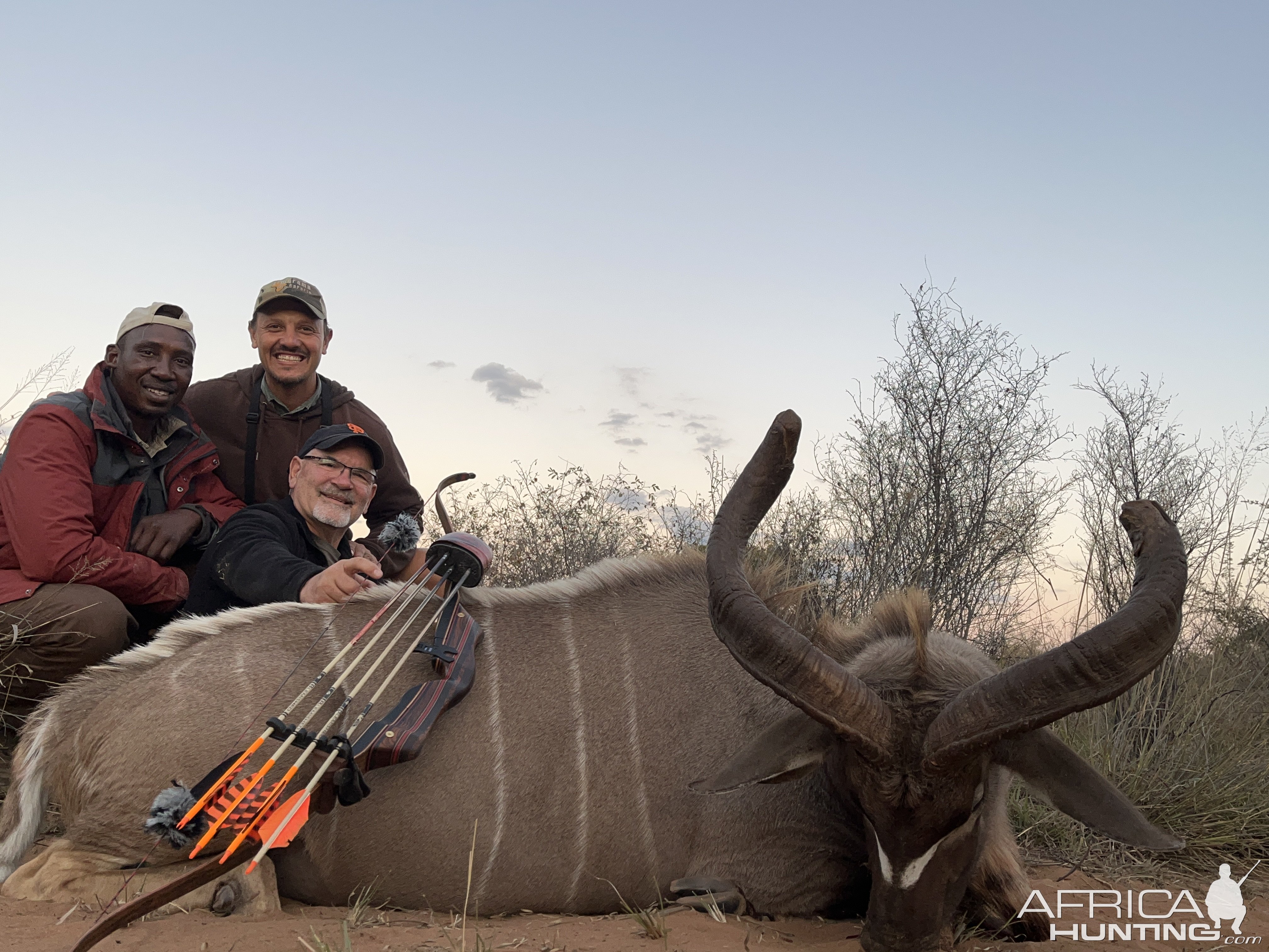 Cull Hunting Kudu With Bow