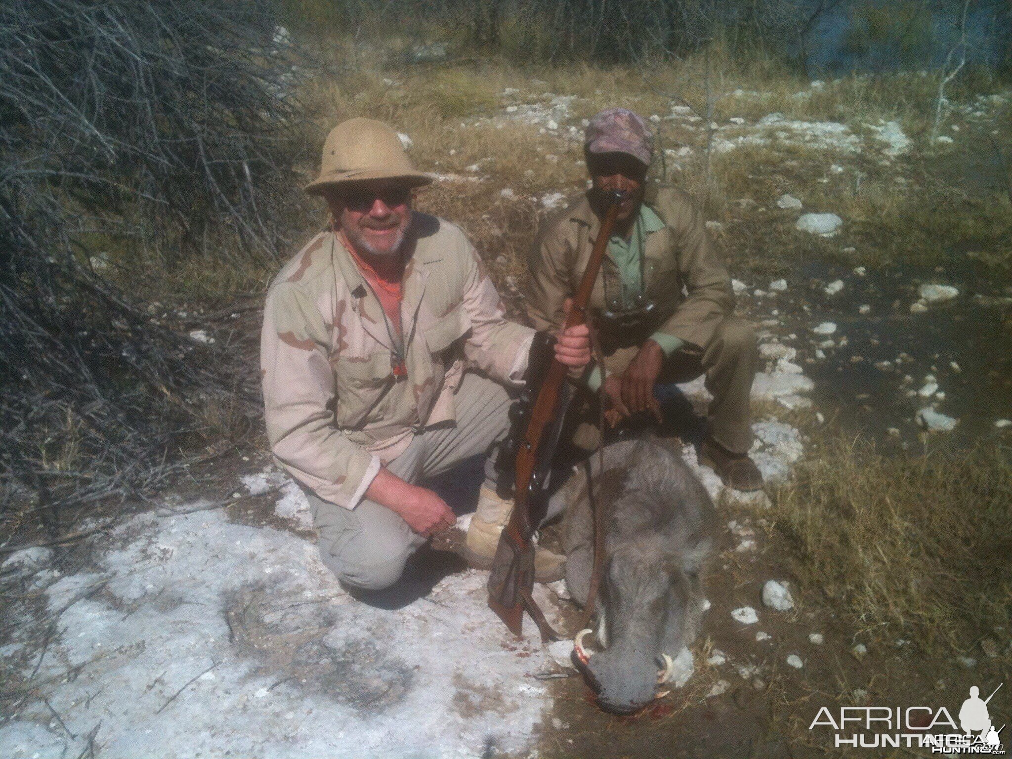 Cull warthog near Hochfeld Namibia