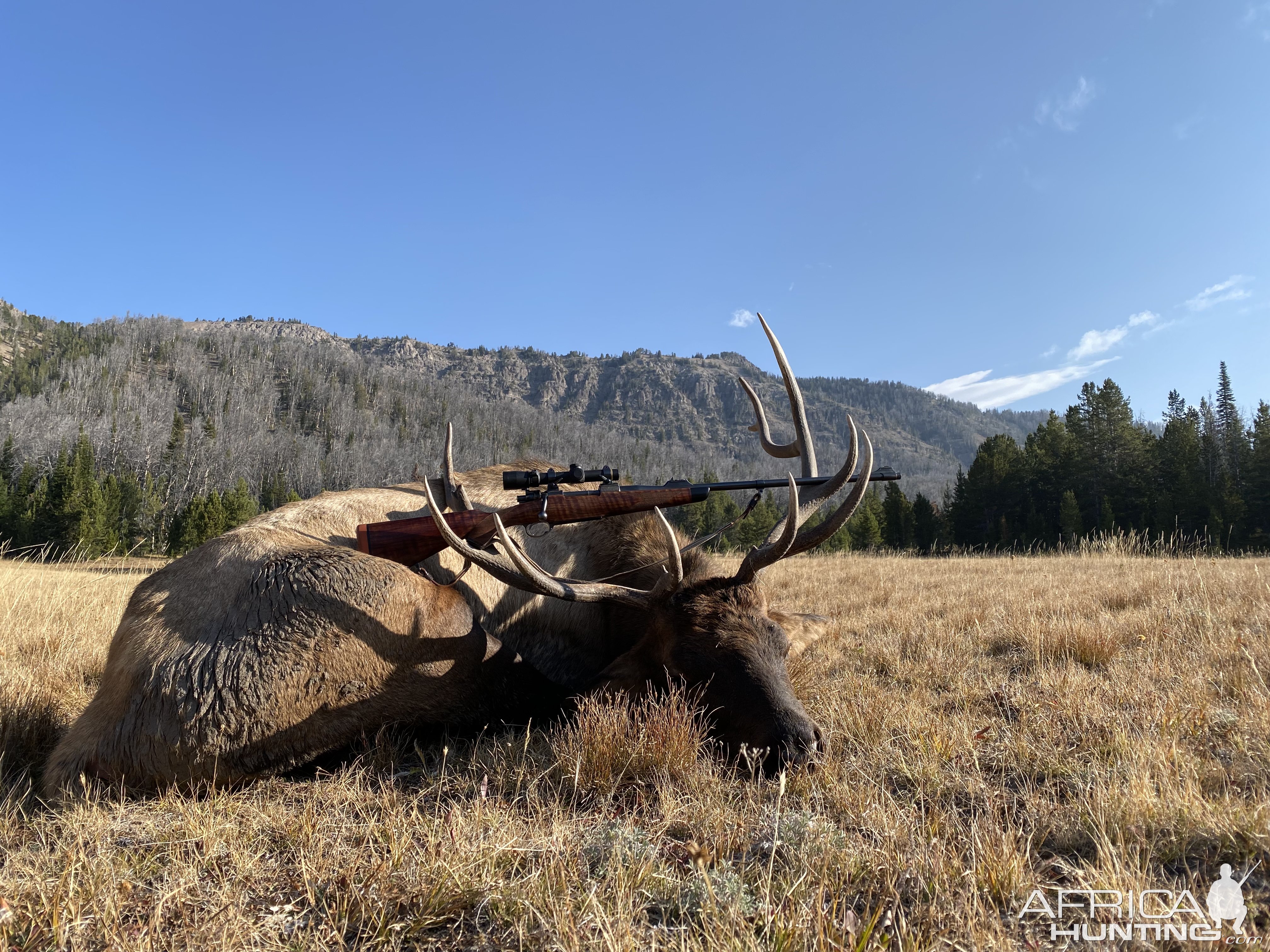 Custom 9.3 Mauser Rifle