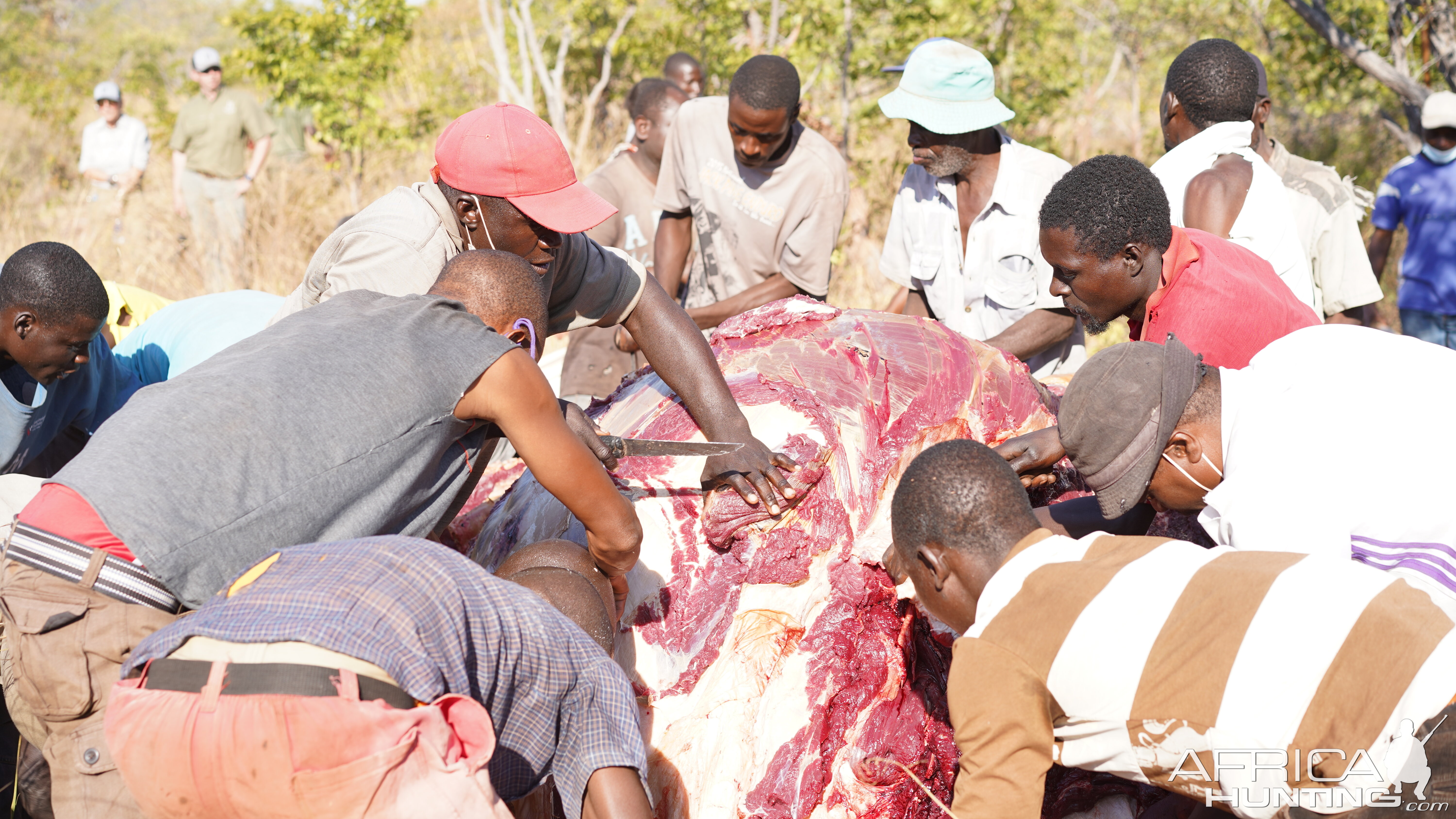 Cutting meat