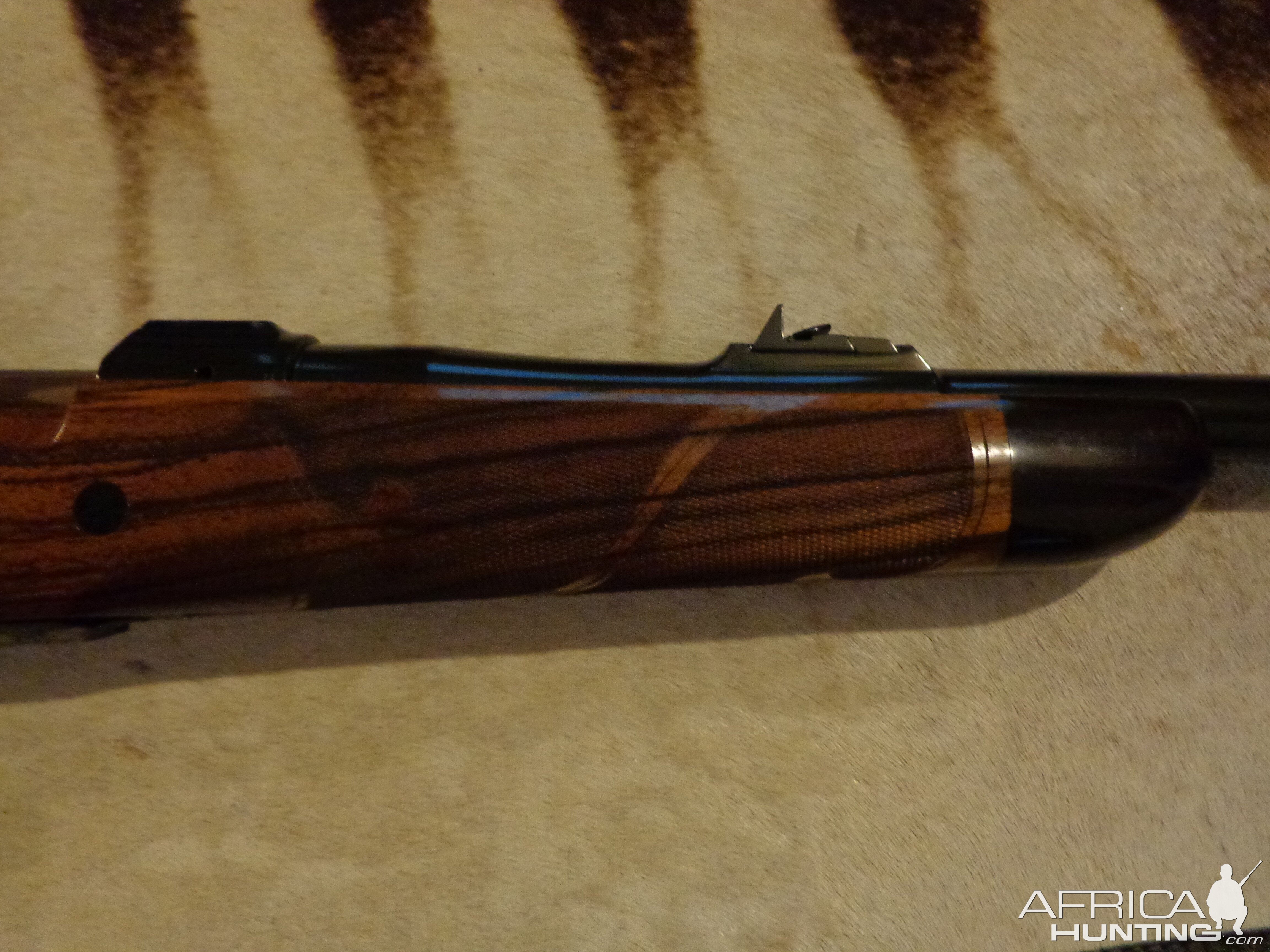 CZ .375 Rifle with nice Walnut stock