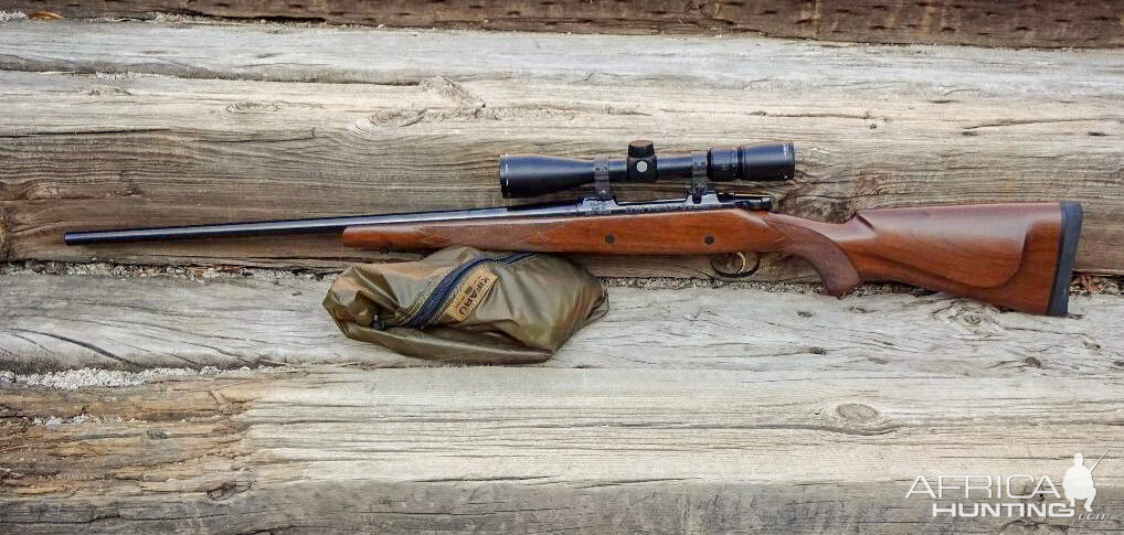 CZ 550 American in 9.3x62