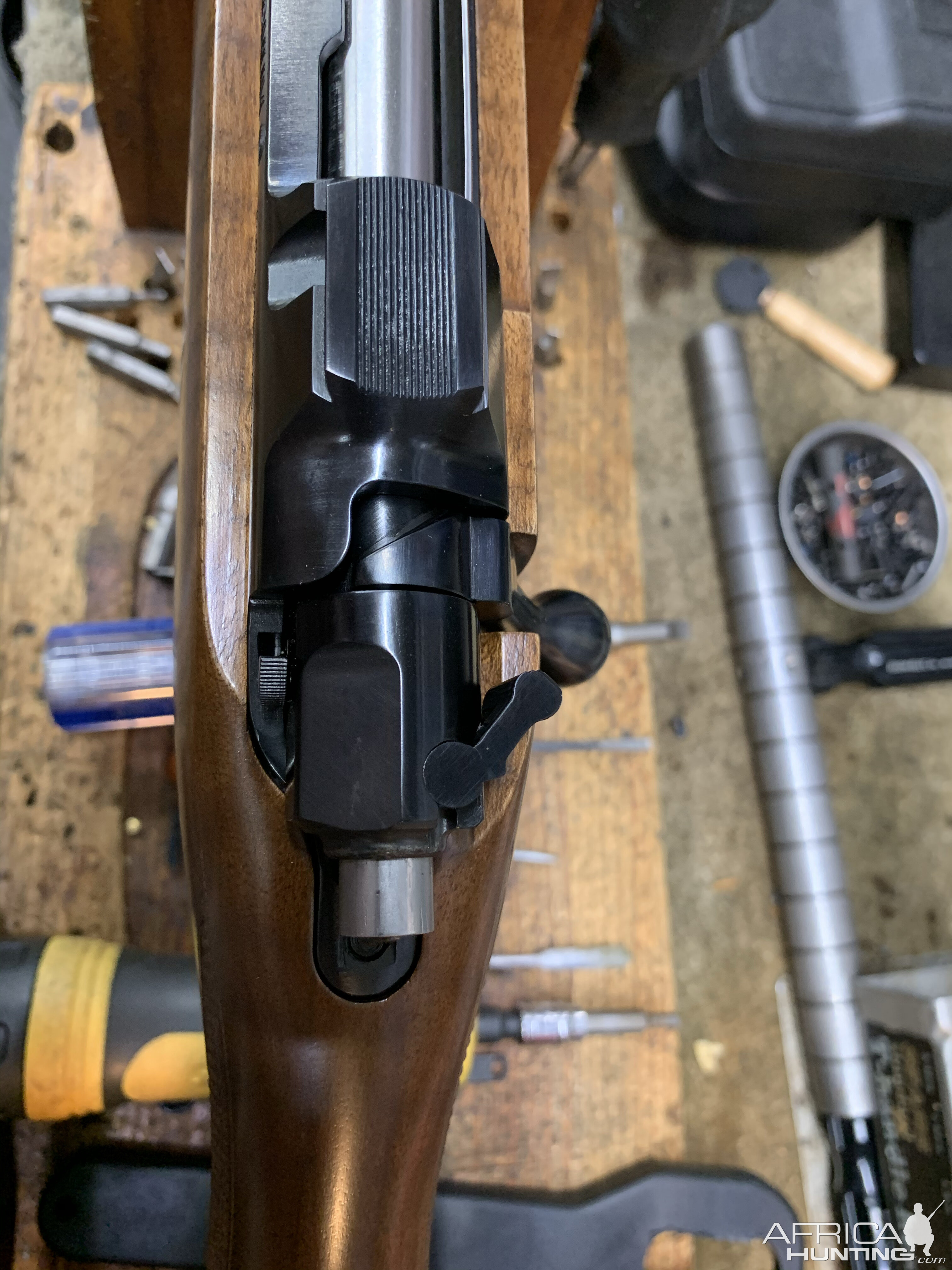 CZ 550 in 375 HH Rifle