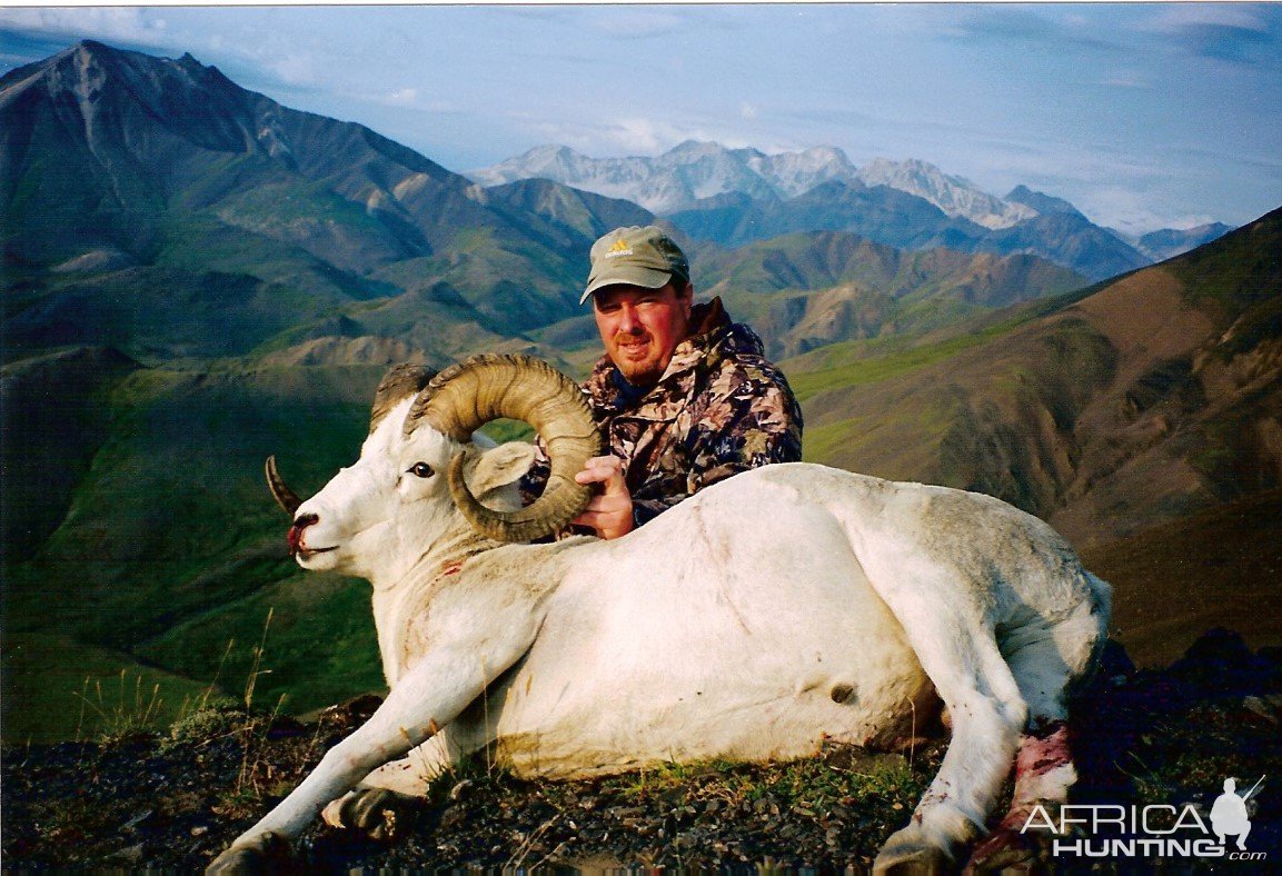 Dall Sheep Hunt West Alaska Range