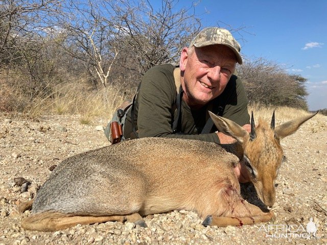 Damara Dik-Dik Hunt Namibia