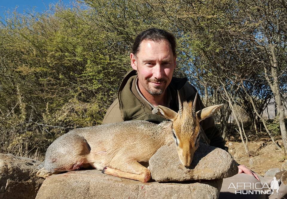 Damara Dik-Dik Hunt Namibia