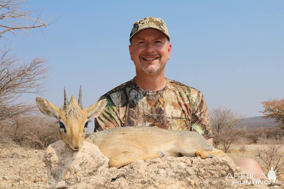 Damara Dik Dik Hunt Namibia